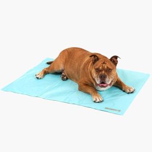 DF Co. Dog Cooling Mat for Summer | Automatic Cooling, Easily Foldable, Non-Toxic Gel Interior | Sky Blue, Size L