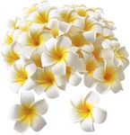 ALEVAN 2.4 inch Artificial Plumier Rubric Hawaiian Flower Petals Hair Hat Wreath Floral Hawaiian Foam Frangipani Flowers for DIY Home Beach Wedding Party Decoration (White, 24)