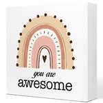 You are Awesome Boho Neutral Rainbow Wooden Sign Desk Decor,Inspirational Positive Wood Block Sign Desk Decorations for Home Women Girl Room Office Desk Shelf Table Decor