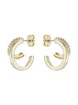 Ted Baker Helias Double Hoop Crystal Earrings (Gold/Crystal)