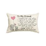 Artoid Mode Friend Gifts Funny Friendship Bestie Best Friend Cushion Cover, 30x50 cm Decorative Birthday Graduation Throw Pillow Cover Case Decor