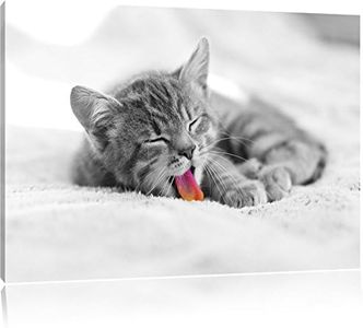 petit chat