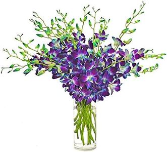 eflowerwholesale 20 Stems Blue Dendrobium Orchids with Vase