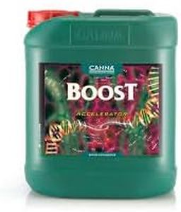 Canna Boos