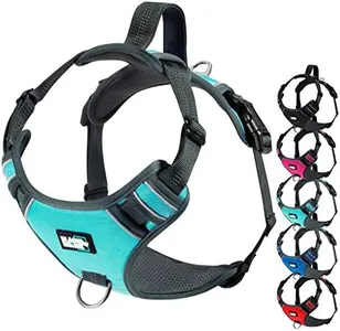 Black Rhino - The Comfort Dog Harness with Mesh Padded Vest for Small - Large Breeds | Adjustable | Reflective | 2 Leash Attachments on Chest & Back - Neoprene Padded Training Handle (Medium, Aqua/Gr)