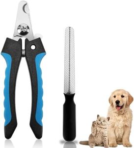 Dog & Cat 