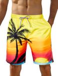 iCKER Mens Swim Shorts Swimming Trunks 3D Print Beach Shorts Boardshorts for Summer