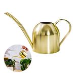 Stainless Steel Watering Can, Small Long Mouth Watering Pot for House Indoor Outdoor Garden Succulent Plants 500ML (Gold)