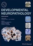 Developmental Neuropathology (International Society of Neuropathology Series)