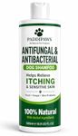 Itchy Dog Shampoo – Antifungal & Antibacterial Dog Shampoo for Sensitive Skin, Helps Relieve Itching, Yeast & Skin Irritation, Natural Dog Shampoo (500ml)