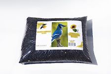 Black Oil Sunflower Seeds for Birds (5 Pound), Birds Seed for Outside Wild Birds, Birds Love Black Oil Sunflower Seeds for Their high-Fat Content, Nutrition Filled Bird Seed for Outside feeders