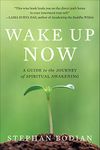 Wake Up Now: A Guide to the Journey of Spiritual Awakening (NTC SELF-HELP)