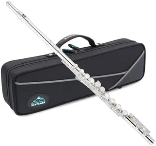 EastRock Closed Hole Flutes C 16 Key for Beginner, Kids, Student Nickel Flute with Case Stand and Cleaning kit