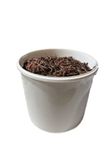 Worms Direct - Live Dendrobaena Worms In tub, for Composting, Fishing Bait, and Reptile Food (250 grams)