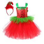 Dark Elf Costume Child Holiday Green Tutu Tulle Dress and Hat for Toddler Baby Girls Velvet Sequins Santa's Helper Xmas Festive Photoshoot Party Fancy Dress Up Outfit Red & Hat 10-12 Years