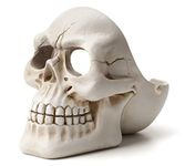 Inara Creation Skull Cigarette Ashtray Smoking for Home, Office and Bar (White)