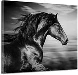 ARTISTIC PATH Black Horse Canvas Pi