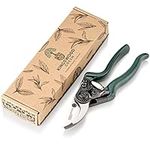 Kingswood Green Professional Bypass Secateurs in Gift Box – SK5 Japanese Carbon Steel Blades for Gardening Pruning, Shearing or Cutting