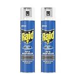 Quebec - Raid Rapid Action Fly- Indoor Raid Flying Insect Killer -Eliminates insects in seconds- Spray Leaves Neutral Scent-Wasp Killer Spray 300ml- Pack of 2