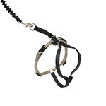 PetSafe Come With Me Kitty Harness and Bungee Leash - Kitten - Small - Black/Silver