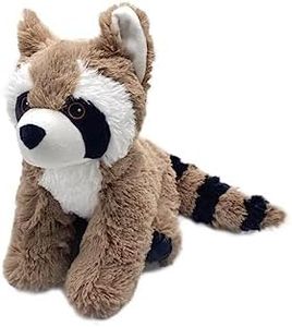 Racoon War