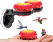 Handheld Hummingbird Feeders (Set o