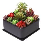 MyGift Modern 7 inch Square Ceramic Succulent Planter Pot with Drainage Tray Window Box & Saucer Matte Black