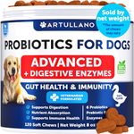 Probiotics for Dogs - Dog Probiotics Chewables - Support Gut Health, Itchy Skin, Allergies, Immunity, Yeast Balance - Digestive Enzymes with Prebiotics - Reduce Diarrhea, Gas - 120 Probiotic Chews