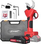 Electric Pruning Shears, Electric Pruner 30mm Cutting Diameter,Electric Secateurs,Electric Pruners Cordless with 1pcs 2Ah Rechargeable Batteries&Replacement Blades Set Battery Powered Pruning Shears