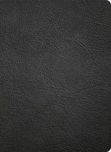 NASB Study Bible, Black Genuine Leather, Indexed, Full-Color, Red Letter, Study Notes and Commentary, Illustrations, Bool Introductions, Articles, Word Studies, Outlines, Timelines, Maps