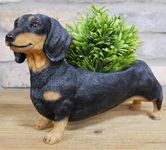 Animal Crackers Dachshund indoor or garden patio planter ornament home decor Sausage Dog lover gift