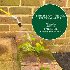 Rootblast Super Strength Weed Killer, 500ml – Fast-Acting Formula