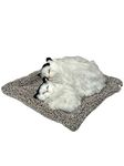 AUGEN Sleeping Cute Two Cats for Car Dashboard and Home Decor with Activated Carbon for Decoration Toy Decorative Showpiece (White & Black, 7)