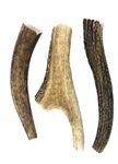 Deer Valley Chews Premium Deer Antler for Dogs (Medium 5-7 Inches Long, 3 Pack) Long Lasting Dog Toy for Teething and Chewing - Premium Grade, Naturally Shed (Jouet Pour Chien)