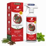 Squirrel Rodent Repellent Spray 1L Eco Safe Stop Squirrels Digging In The Garden Getting Up Bird Feeders Peppermint Clove Thyme Essential Oils