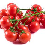 Tomato Plants - Sweet Million - 6 x Plug Plants Pack - Tomato Plug Plants - Tomato Plants Ready to Plant Now - Cherry Tomato Plants - Vegetable Plug Plants Garden Ready - Premium Quality Plants