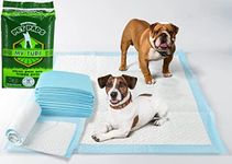 MY TURF Puppy Pads 30 Pack Disposable Dog Training Pads Super Absorbent & Leak-Proof Puppy Training Pads - Quick Dry Dog Pads (60cmx60cm - 30 Count)