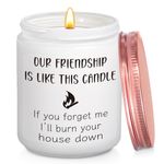 Friend Gifts for Women,Friendship Gifts for Women,Birthday Gifts Idea for Friends,Funny Birthday Christmas Gifts for Best Friend Female BFF Bestie,Scented Candle Fun Gift