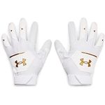 Under Armour Men's Clean Up 21 Batting Gloves Small