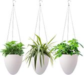 Garden Art Hanging Self Watering Pack of 1 Planter(White) Unique Eggshell Hanging Succulent Flower Pot Home Office Indoor Decorative Container GAD09(Pack of 1)