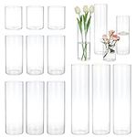 CEWOR 12pcs Glass Cylinder Vase 4, 