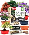 HOME GROWN Bonsai Tree Kit: Unique 