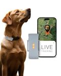 PAJ GPS Tracker for Dogs - Runaway Alarms + Worldwide Live Tracking - Battery Saving Mode Near Routers - Dog Recall - LED Lights - Waterproof (IP67) - fits every collar, grey