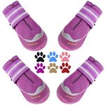 QUMY Dog Boots for Hot Pavement Shoes for Dogs Summer Heat Resistant Booties Mesh Breathable Nonslip with Reflective Straps (Purple-4PCS, Size 8: 3.0''x3.3(Width*Length))