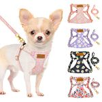 Lukovee Puppy Harness and Leash Set, No Pull Lightweight Pet Harness Vest for Puppy Small and Medium Size Dog, Adjustable Soft Suede Dog Leash Set (Pink,XXS)