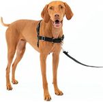 PetSafe Easy Walk No-Pull Dog Harness - The Ultimate Harness to Help Stop Pulling - Take Control & Teach Better Leash Manners - Helps Prevent Pets Pulling on Walks - Medium, Charcoal/Black