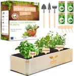 Indoor Herb Garden Kit PYEF CRAFTS 