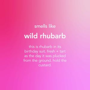 Method Floor Cleaner – Wild Rhubarb Scent, 739ml