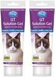 Pet-Ag UT Solution Gel Supplement for Cats - 3.5 oz, Pack of 2 - Supports a Healthy Urinary Tract for Cats 6 Months and Older