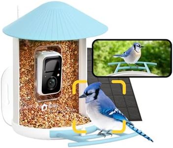 Netvue by 